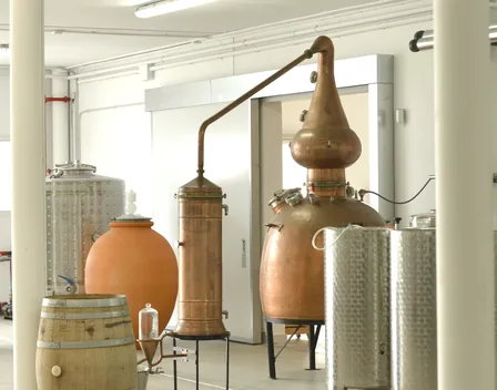 Novaterra Catering & Restauración – catering en Paterna (foto 8 de 10)