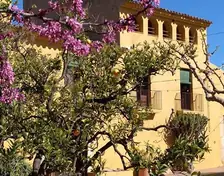 Oliveta's Catering – catering en Tarragona (foto 9 de 10)