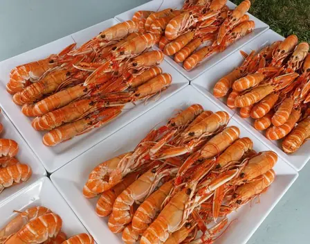 Olivier Catering & Event Design – catering en O Carballiño (foto 5 de 11)