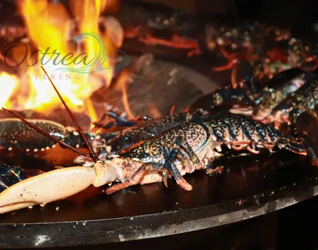 Ostrea Catering – catering en Alicante (foto 1 de 1)