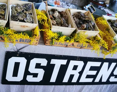 Ostrens – catering en Bellcaire d'Empordà (foto 11 de 11)