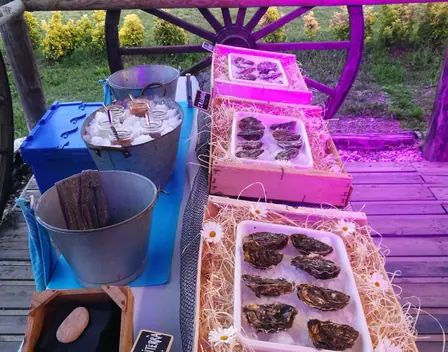 Ostrens – catering en Bellcaire d'Empordà (foto 6 de 11)