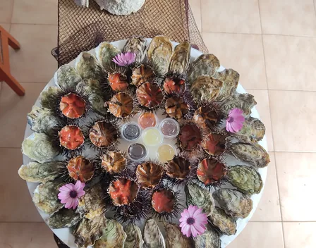 Ostrens – catering en Bellcaire d'Empordà (foto 9 de 11)