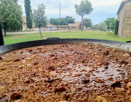 Paellas Baco – catering en Ripollet (foto 8 de 12)