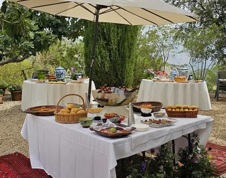 Paellas Gigantes Riquelme – catering en Alicante (foto 10 de 11)