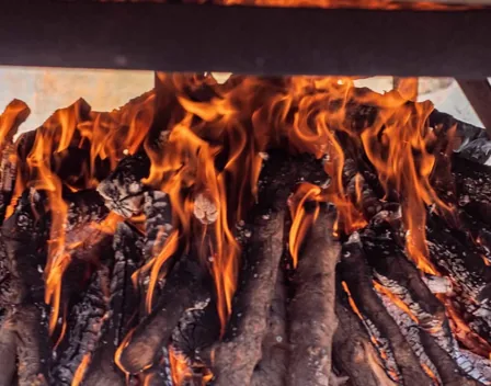 Paellas Gigantes Riquelme – catering en Alicante (foto 3 de 11)