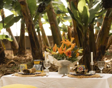 Picnic Paradise Tenerife – catering en Santa Cruz de Tenerife (foto 4 de 12)