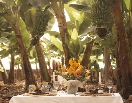 Picnic Paradise Tenerife – catering en Santa Cruz de Tenerife (foto 9 de 12)