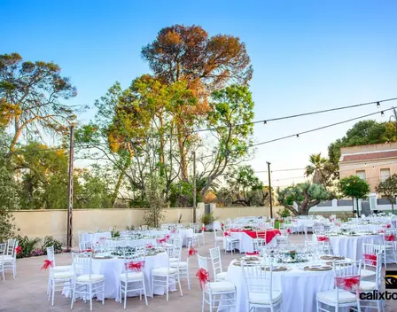 Q Linaria – catering en Elx (foto 9 de 11)