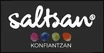 Logo de Saltsan