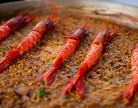 SENSE Gastro | Chef privado Mallorca – catering en Baleares (foto 3 de 12)