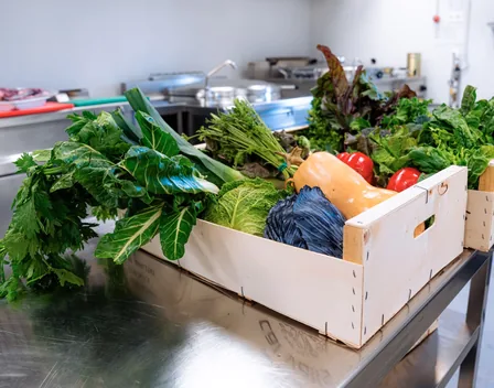 Sercodaga – catering en El Palau d'Anglesola (foto 6 de 6)