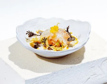 Singularis Catering – catering en Logroño (foto 1 de 1)