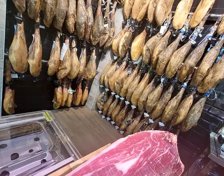 Sureños de Jaén, Jaén alimentación gourmet – catering en Jaén