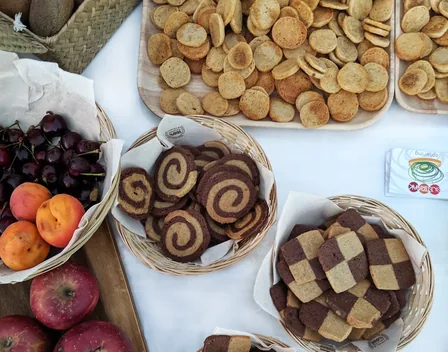 Sustraiak Catering Vegetariano – catering en Bilbao