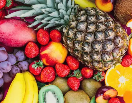 TAKE FRUIT – catering en Asturias (foto 6 de 11)