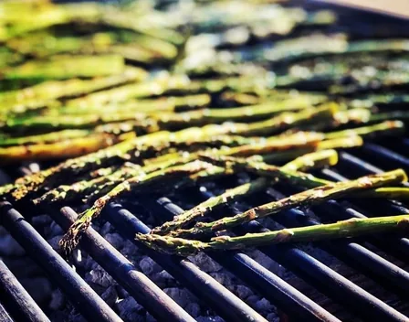 The Roast Cook Street Food – catering en Álava (foto 2 de 12)