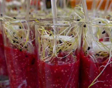 To Tus Canapés – catering en Torre del Mar (foto 7 de 12)