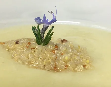 Veganería del Sur – catering en Chilches (foto 2 de 11)