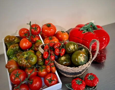 Verde Tomatto Catering – catering en Fuencarral-El Pardo
