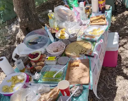 Vida De Campo – catering en Málaga