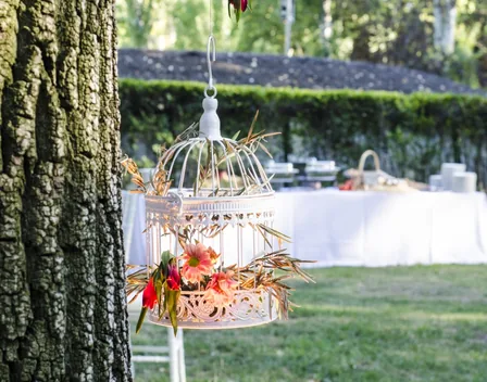 Vilaplana Catering – catering en Latina (foto 5 de 12)