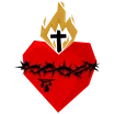 Logo de Wedding Custom