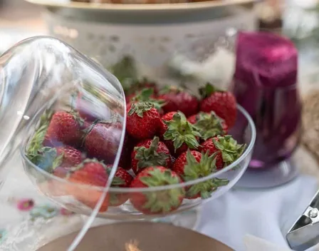 Xerta Catering – catering en Eixample (foto 12 de 12)