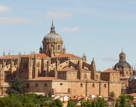 ZIELO Catering & Eventos – catering en Salamanca (foto 2 de 12)
